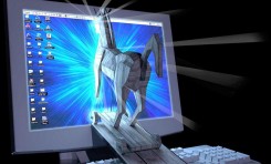[IP]: Troje polityków padło ofiarą ataków hakerskich podczas korzystania z publicznej sieci Wi-Fi