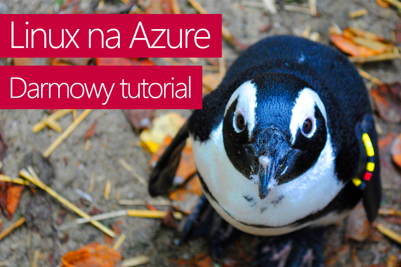 Linux na Azure – darmowy tutorial wideo