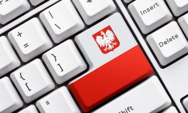 Polski biznes nie korzysta z Internetu