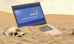 Windows XP ciągle żywy
