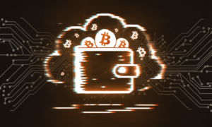 Luka w portfelach bitcoinowych wyczyściła 594 BTC w 25 minut
