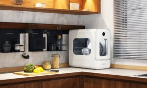 lissome r1